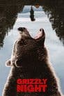 Grizzly Night Poster