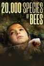 20,000 Species of Bees Poster