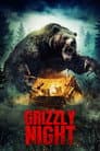Grizzly Night Poster