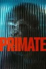 Primate Poster