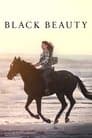 Black Beauty Poster