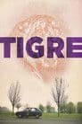 Tiger Poster