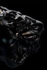 Alien vs Predator Poster