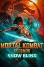 Mortal Kombat Legends: Snow Blind Poster