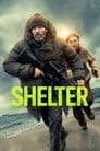 Shelter Poster