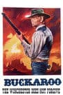 Buckaroo: The Winchester Does Not Forgive Poster