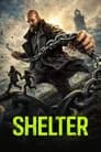 Shelter Poster
