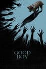 Good Boy Poster