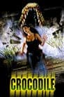 Crocodile Poster