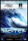 Shelter Poster