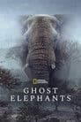 Ghost Elephants Poster