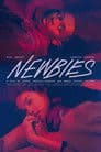 Newbies Poster