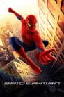 Spider-Man Poster