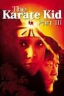 The Karate Kid Part III Poster