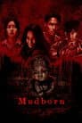 Mudborn Poster