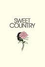 Sweet Country Poster