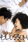 Plum Blossom Poster