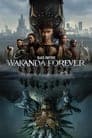 Black Panther: Wakanda Forever Poster