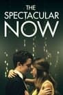 The Spectacular Now Poster