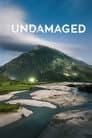 The Undamaged Poster