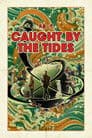 Caught by the Tides Poster