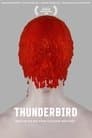 Thunderbird Poster