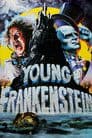 Young Frankenstein Poster