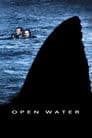 Open Water Poster