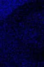 Permadeath blue Poster