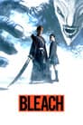 Bleach Poster