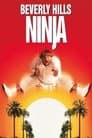 Beverly Hills Ninja Poster