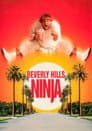 Beverly Hills Ninja Poster