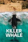 Killer Whale Poster